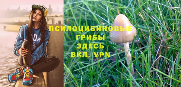 гашик Алзамай